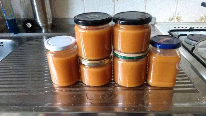 Ständiger Durchfall-Beitrag-Bild