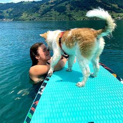 Hundetreffen-Gassi /Spielrunde jeweils am Wochenende in der Umgebung Affoltern am Albis :)