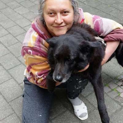 Hundetreffen-Oldi-Treffen in Wiederitzsch oder am Schladitzer See-Bild