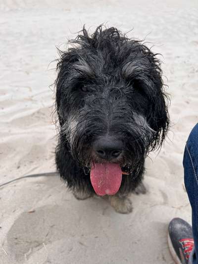 37. Collagen Challenge- Am Strand-Beitrag-Bild