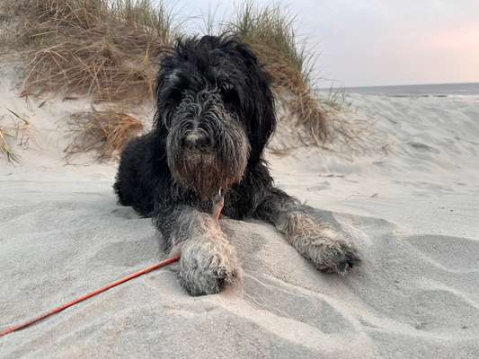 37. Collagen Challenge- Am Strand-Beitrag-Bild