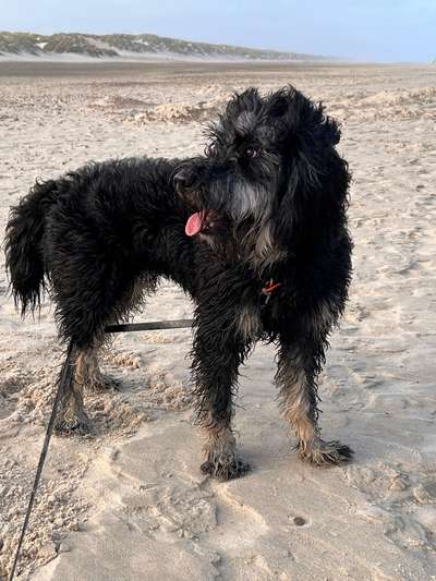 37. Collagen Challenge- Am Strand-Beitrag-Bild