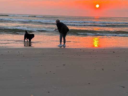 37. Collagen Challenge- Am Strand-Beitrag-Bild
