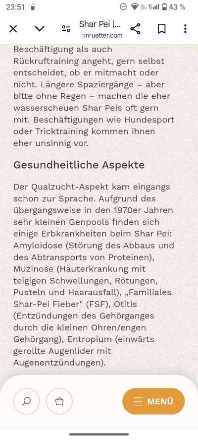 American Bully – Neue Einstufung als gefährlicher Hund in Braunschweig-Beitrag-Bild