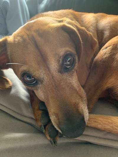 Lieblingsbild :D-Beitrag-Bild