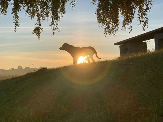 SonnenSTRAHLEN-Beitrag-Bild