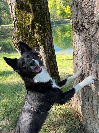 Fotochallenge Nr.100 Urlaubsimpressionen-Beitrag-Bild