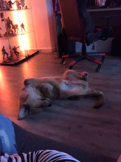 Die unbequemsten und lustigsten Schlafpositionen-Beitrag-Bild