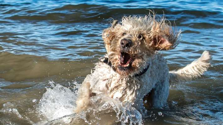 Foto Challenge Nr.133-Beitrag-Bild