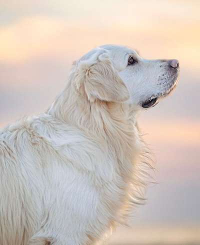 19. Farben  Fottochallenge :
Lieblingsfarbe-Beitrag-Bild