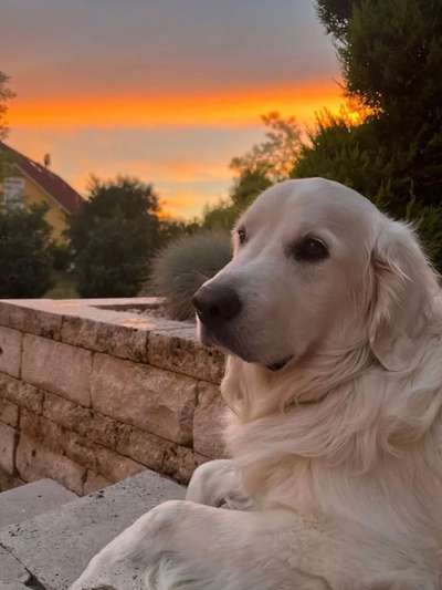 Farben Fotochallenge Sonnenlicht-Beitrag-Bild