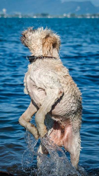 Foto Challenge Nr.133-Beitrag-Bild