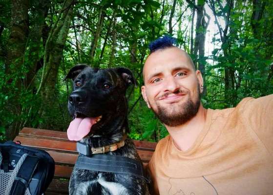 Hundetreffen-Spielpartner gesucht-Bild