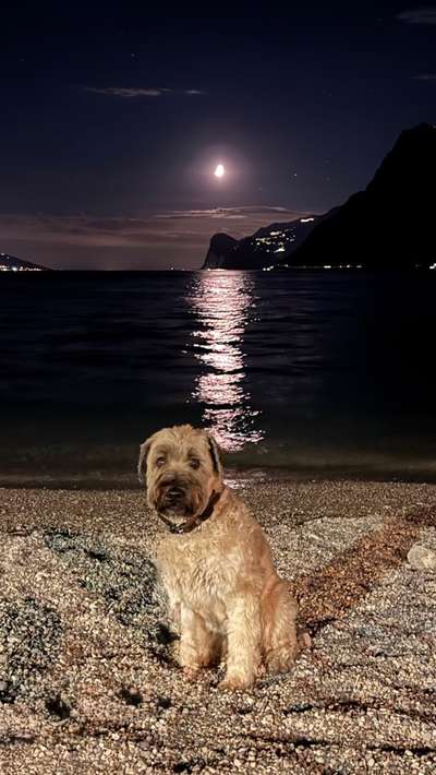 Ach, wie schnell die Zeit vergeht-Beitrag-Bild