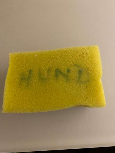 Futternapf in die Spülmaschine-Beitrag-Bild