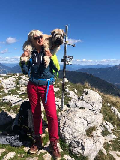 Hund auf Schulter tragen, wer hat Erfahrung?-Beitrag-Bild