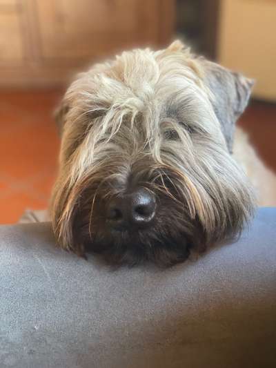 Vor dem Friseur - nach dem Friseur-Beitrag-Bild