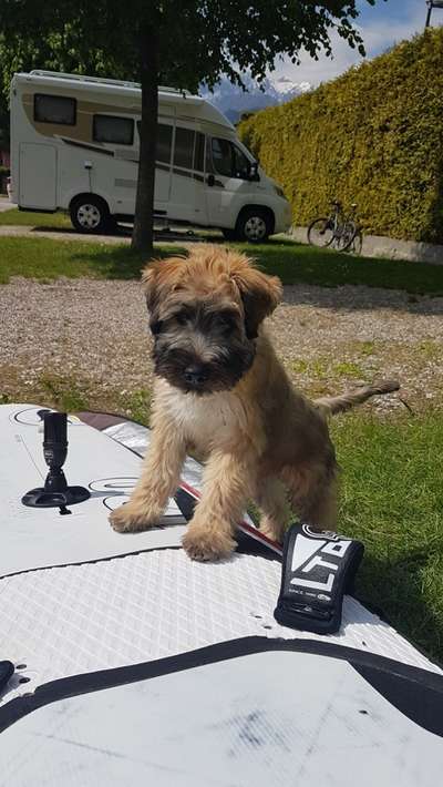 Ach, wie schnell die Zeit vergeht-Beitrag-Bild