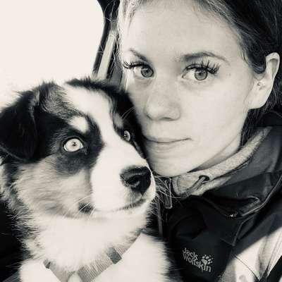 Hundetreffen-Nach Absprache-Profilbild