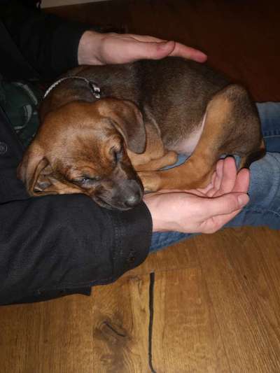 Das erste Foto-Beitrag-Bild