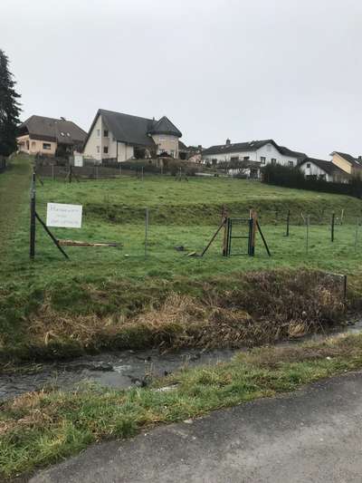 Hundetreffen-Hundespielwiese-Bild