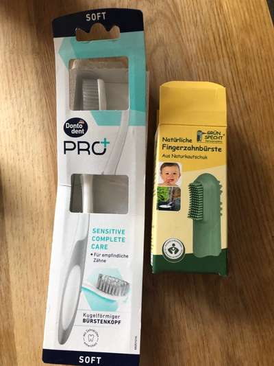 Welche Zahnpasta für den Hund könnt ihr Empfehlen?-Beitrag-Bild