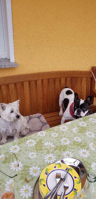 Challenge 30  Freundschaft-Beitrag-Bild