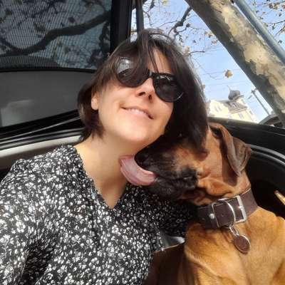 Hundetreffen-Spiel und Spaziergang gesucht für unsere Dackel und Ridgeback Hündin-Profilbild