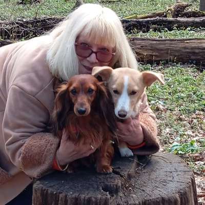 Hundetreffen-Spielrunde