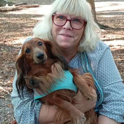 Hundetreffen-Spielrunde