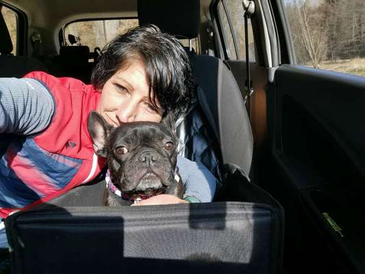 Dogorama Photo Challenge - Selfie Time!-Beitrag-Bild