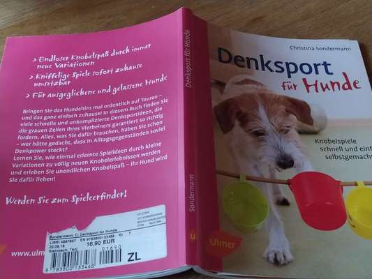 Indoor Beschäftigung-Beitrag-Bild