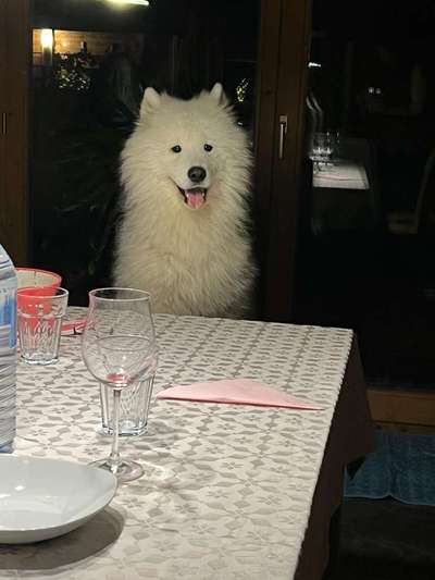 Zeigt eure Portraits-Beitrag-Bild