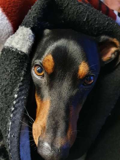 Fotochallange Nr. 57     PORTRÄT.   Beendet!!!!!!!!-Beitrag-Bild