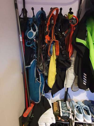 Wieviel Geschirre und Leinen habt Ihr?-Beitrag-Bild