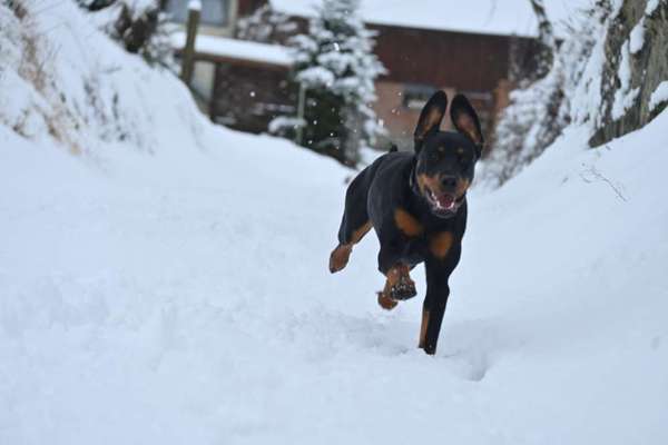 Fotowettbewerb Natur-Beitrag-Bild