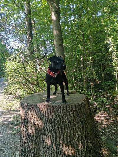 Fotowettbewerb Natur-Beitrag-Bild