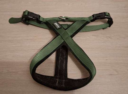 Reserviert AniOne Set X-Geschirr Classic grün S Hundegeschirr Halsband Leine-Beitrag-Bild