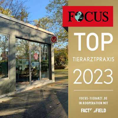 %{de_profession_title}-Unsere Leistungen:-Bild