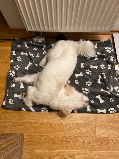 Die unbequemsten und lustigsten Schlafpositionen-Beitrag-Bild