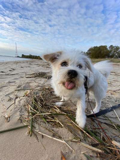 Hier ist der Spaßthread. Zum Schmunzeln und Kaputtlachen-Beitrag-Bild