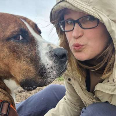 Hundetreffen-Spielrunde im Hundeauslauf Gettorf-Profilbild