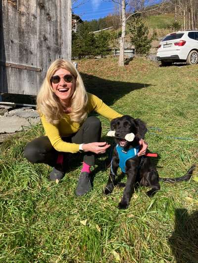 Welpen Bilder !-Beitrag-Bild