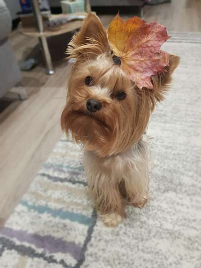 Fotochallange Nr. 57     PORTRÄT.   Beendet!!!!!!!!-Beitrag-Bild