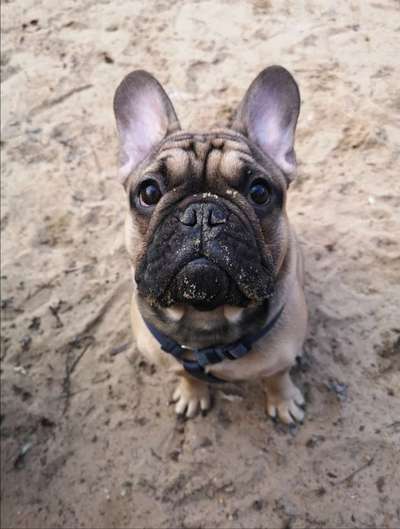 Zeigt mir doch mal eure Dreckspätze-Beitrag-Bild