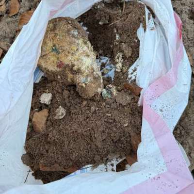 Giftköder-Giftköder-Bild