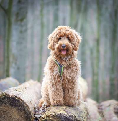 Foto Challenge Nr. 79-Beitrag-Bild