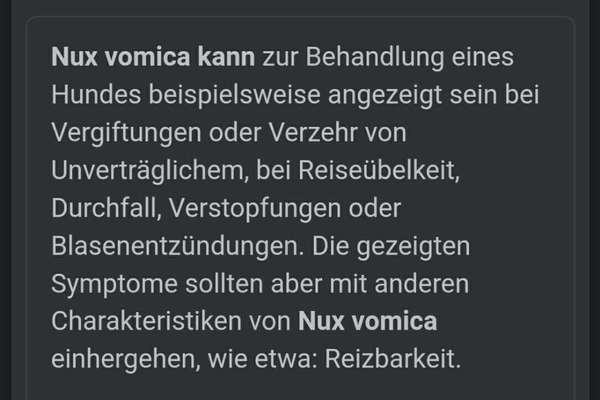 Autofahrten mit Hund-Beitrag-Bild