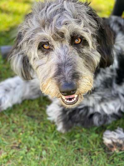 Fotochallange Nr. 57     PORTRÄT.   Beendet!!!!!!!!-Beitrag-Bild