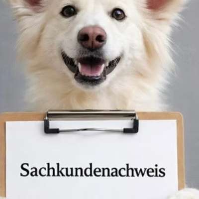 %{de_profession_title}-Sachkundenachweis-Bild